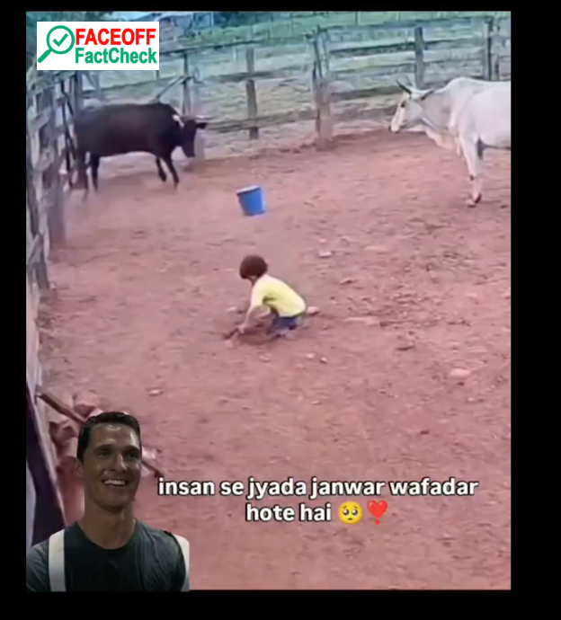 AI-Generated Video Falsely Circulated as Real Cow Rescue Incident