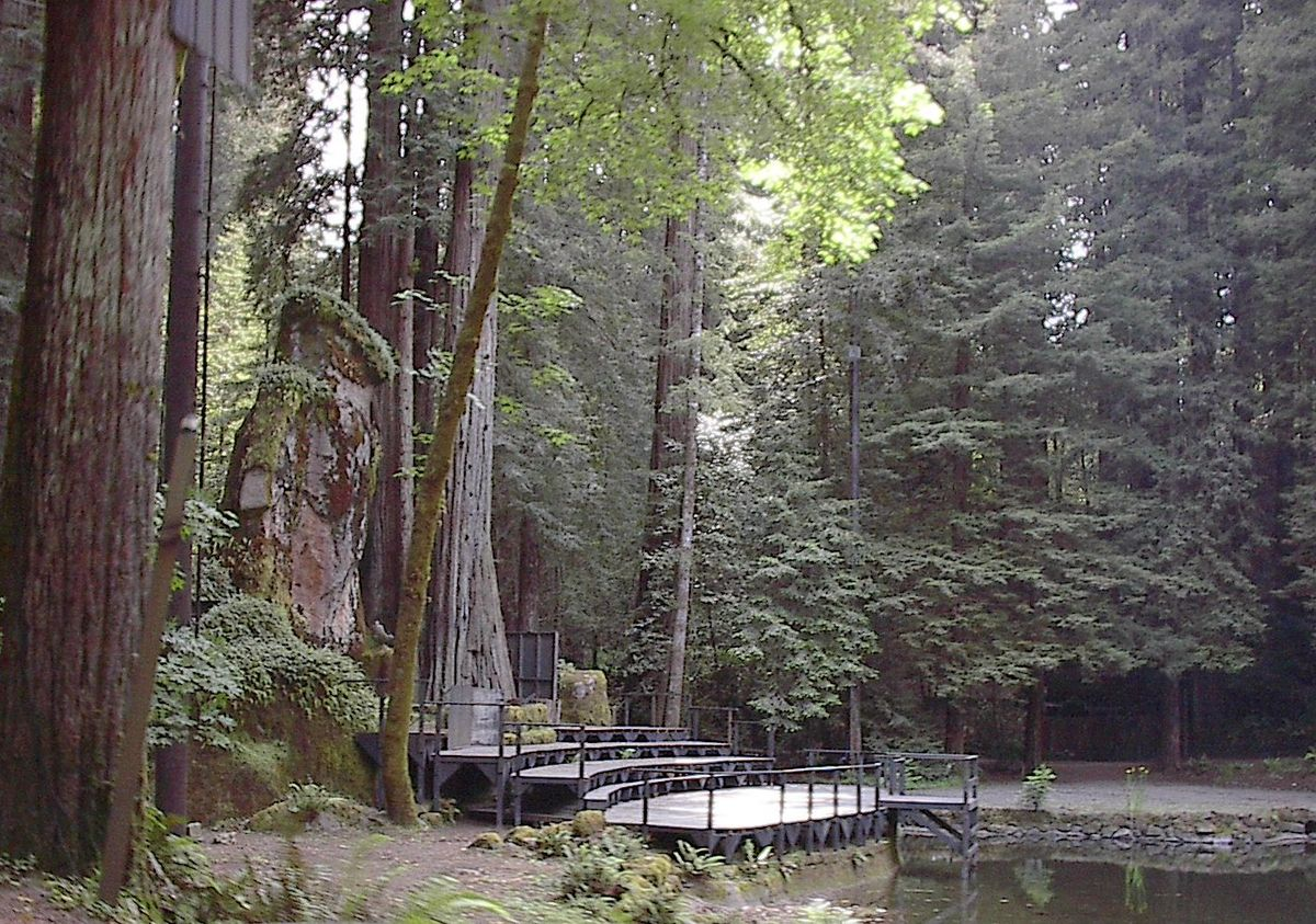 Inside Bohemian Grove: America’s Most Exclusive Retreat
