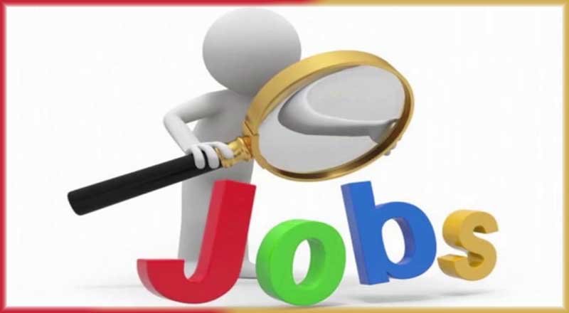 IITs to see a 15% drop as IT firms review hiring plans