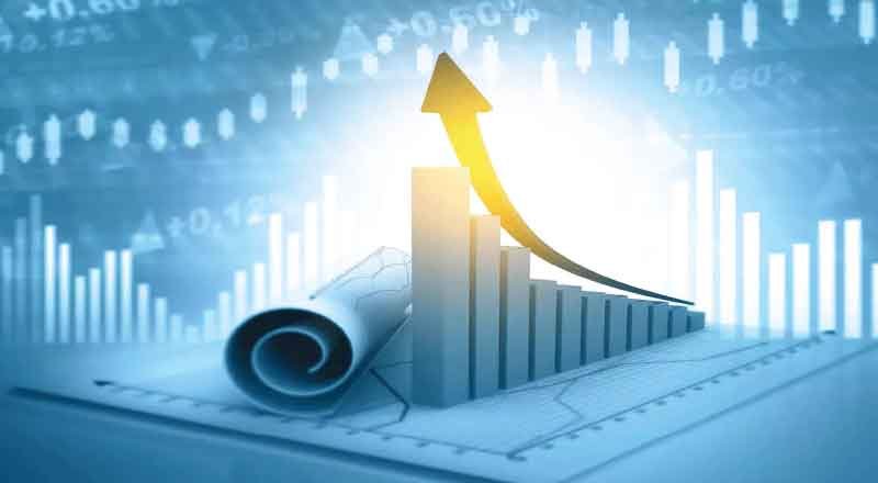 Revenue Crisis, GDP, Private Investments: Union Budget 2020