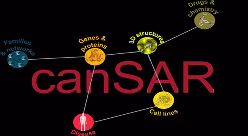 New software developed by Queen’s to capture worldwide cancer data is launched
