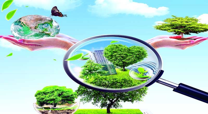 Ambition to Impact: Opportunities for Global Collaboration in India’s Clean Energy Economy”