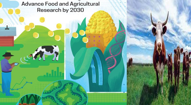 Reports about ethanol plan affecting the country’s food security are malicious