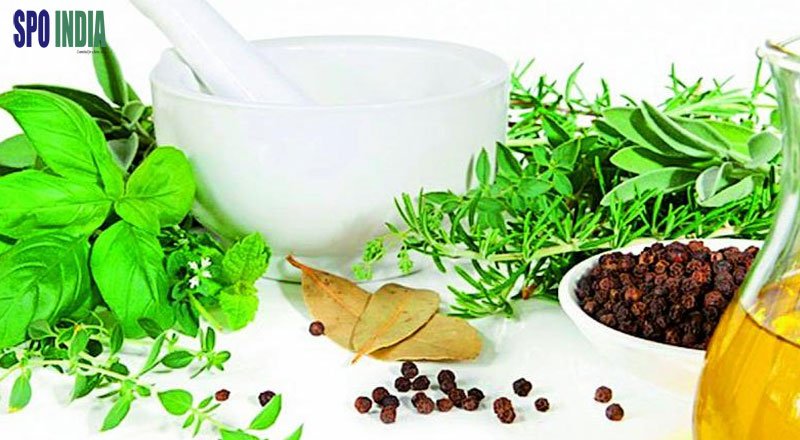 NMPB and CSIR-CIMAP Lucknow Signed MoU to promote the production of Medicinal Plants